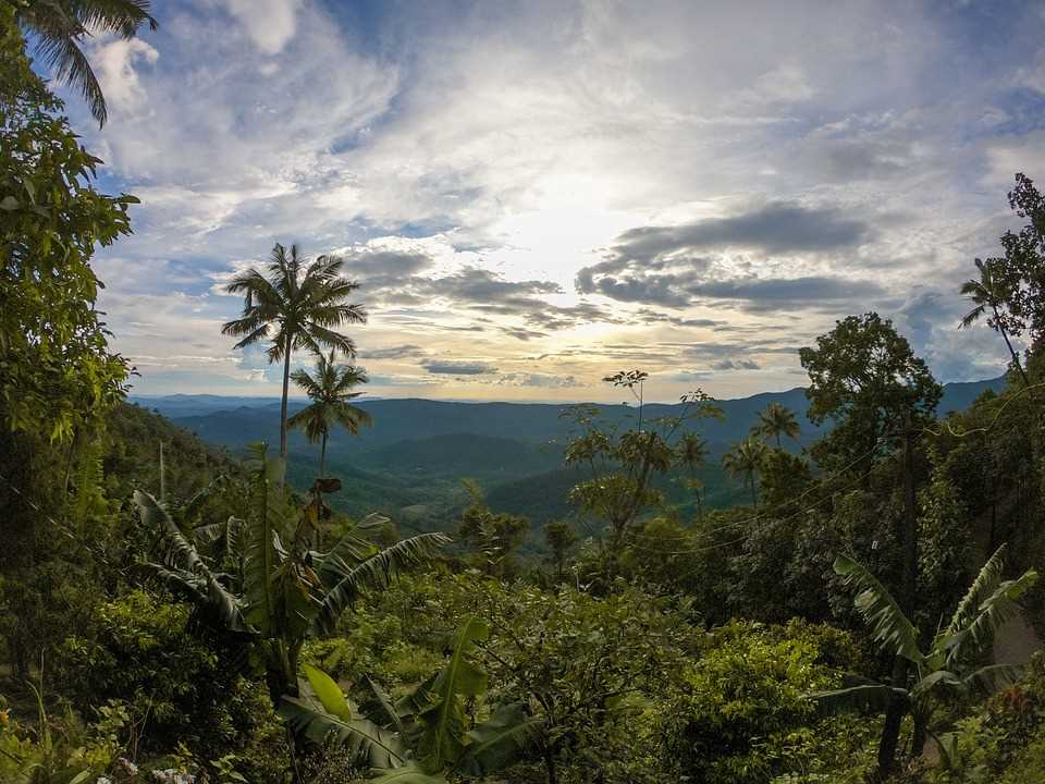 Kerala National Parks and Sanctuaries