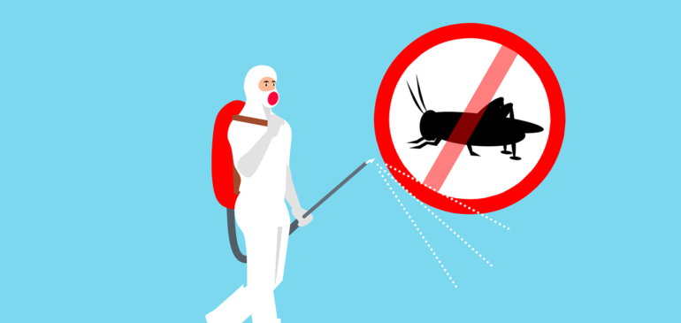 pest control services in Singapore