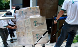 Best Relocation Companies in Singapore