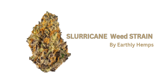 Slurricane Weed Strain